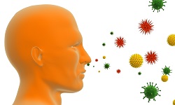légúti allergia okozói