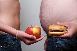 elhízás oka