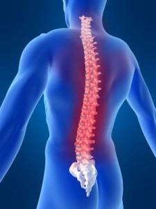 fájdalom a gerinc középső részén térdhajlítási fájdalom a térd alatt