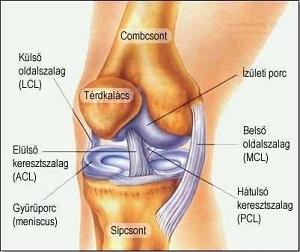 ankylosing spondylitis ízületi fájdalom ha a jobb láb fáj a csípőízületben